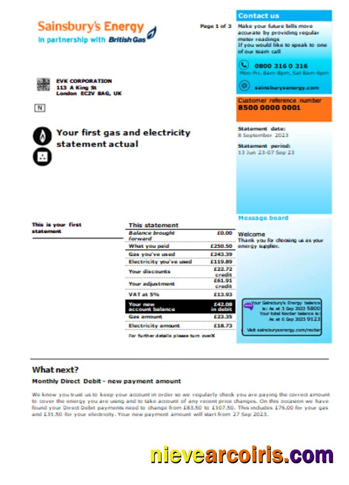 Sainsbury- Energy (British Gas) business utility bill, page 1